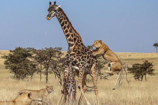 咸安区瀚德霓虹灯公司